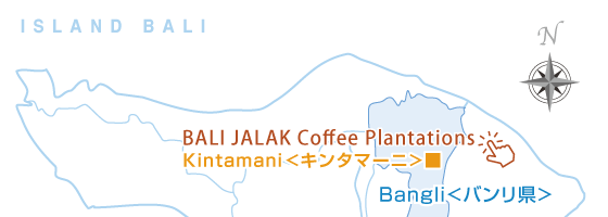 Bali Island Map